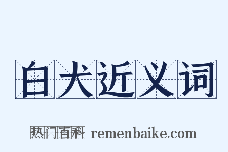 白犬近义词是什么意思的图片